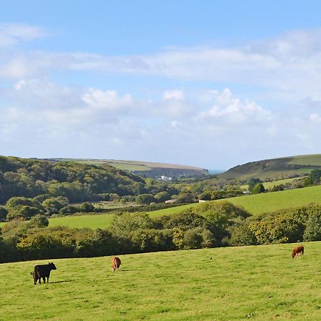 Merlin View St Mawgan Exterior foto